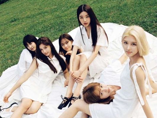 日本でも大注目のIVE（アイヴ）、ゲリラコンサートが中止に「特別な思い出を作ろうと準備したが」