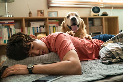 マイ・ハート・パピー