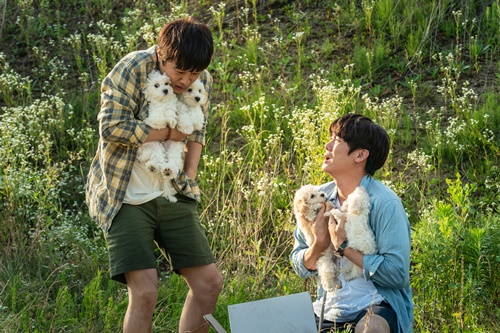 マイ・ハート・パピー