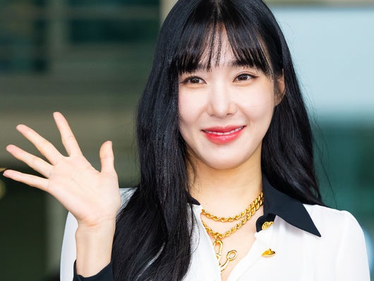 少女時代・ティファニー、続く体調不良により一時活動を休止。「安静と休息が必要」と所属事務所