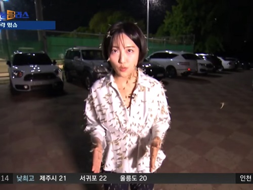 “全身虫まみれ”でも取材を全うした韓国の女性記者が話題！衝撃の状態でも微動だにせず【画像】