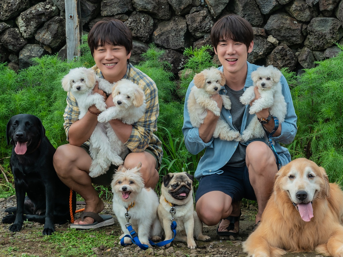俳優ユ・ヨンソクの来日舞台挨拶決定！映画『マイ・ハート・パピー』予告&場面写真解禁