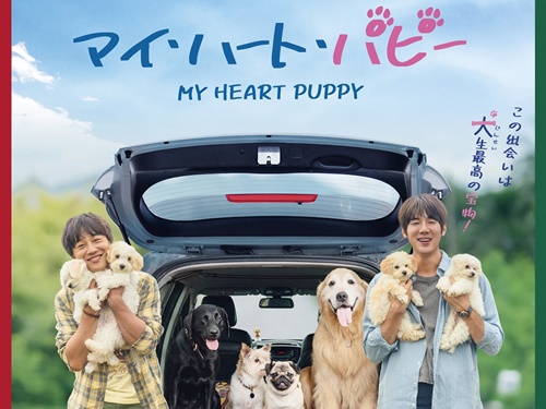 『賢い医師生活』ユ・ヨンソク主演、『マイ・ハート・パピー』ポスター＆特報映像解禁