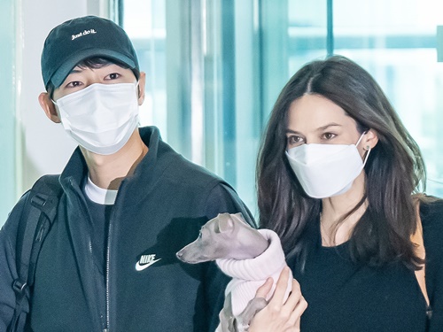 ソン・ジュンギ初のカンヌに妻が姿を見せなかったワケ、人間味があると称賛される結果に