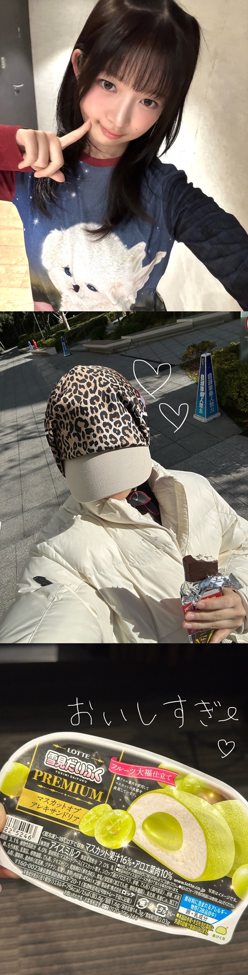 IVE・レイ