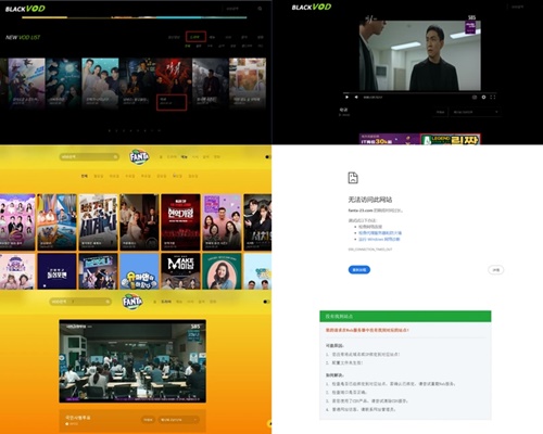 違法動画サイト
