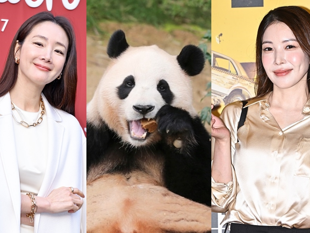 “さよなら”チェ・ジウやBoAも愛したパンダ「フーバオ」、中国行きを悲しむスターたち