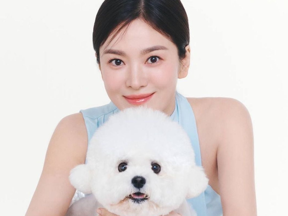 「美しくて、癒される…」女優ソン・ヘギョの愛犬ショットに羨望の声が殺到【PHOTO】