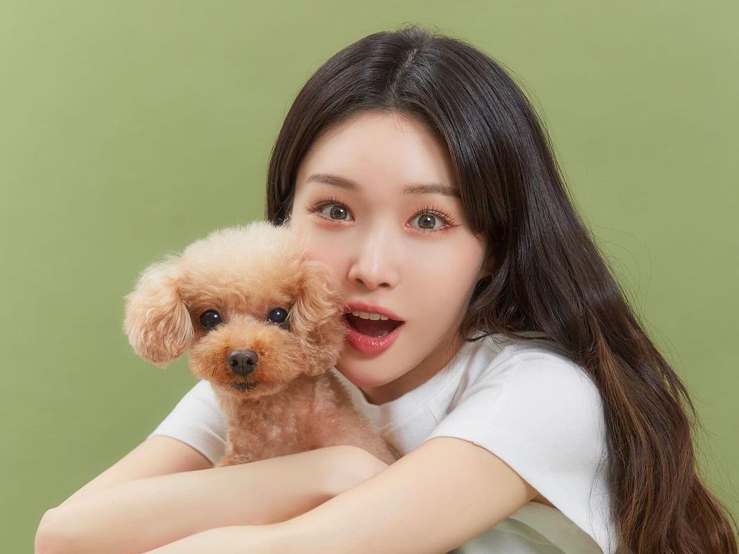 女性らしいしなやかな“ボディライン”…I.O.I出身チョンハ、アンダーウェアもクールな着こなし【PHOTO】