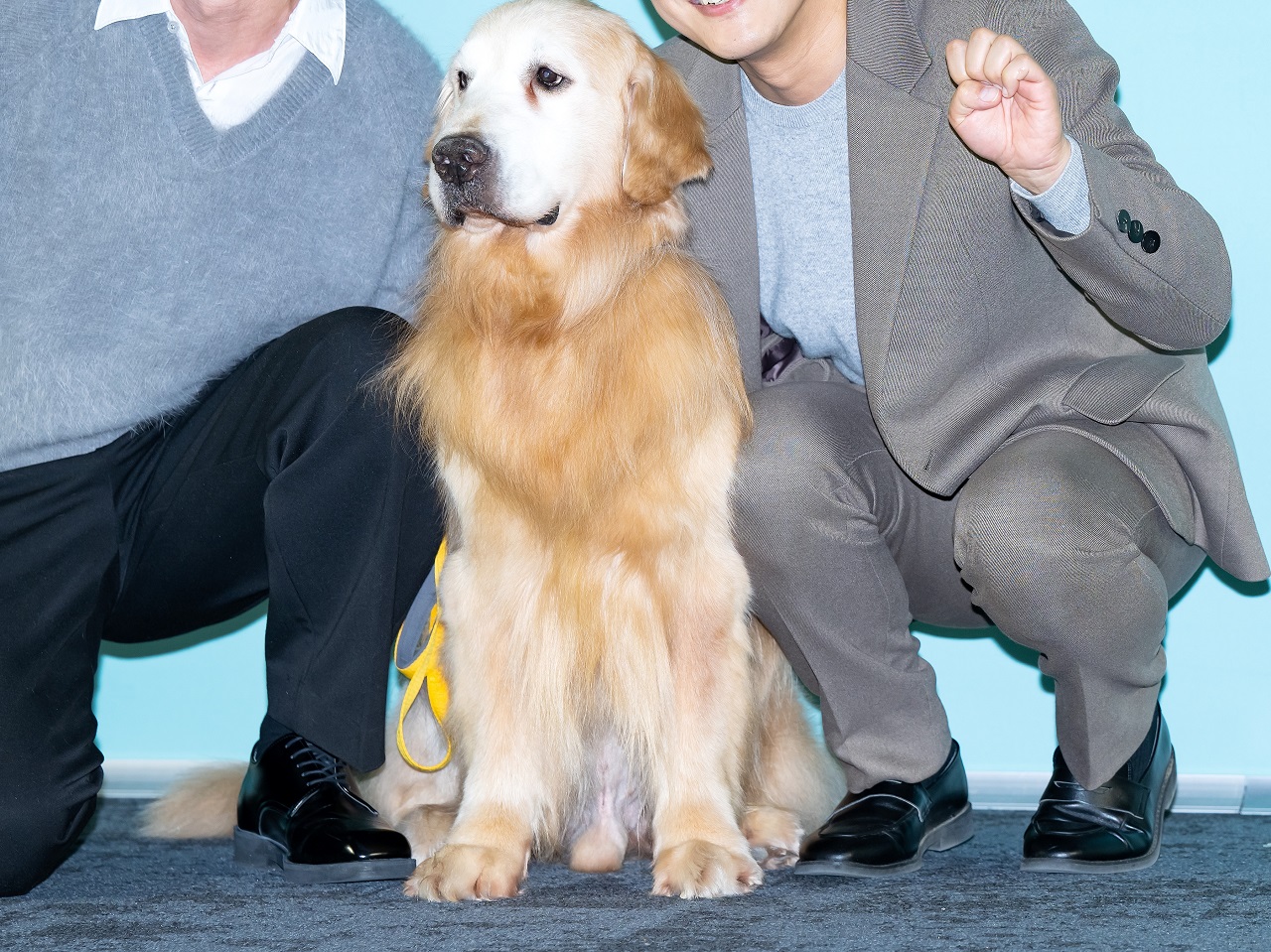 「テレビでは愛犬を大切にしているように見せ」韓国芸能人による騒音被害の暴露文が拡散…憂慮の声も