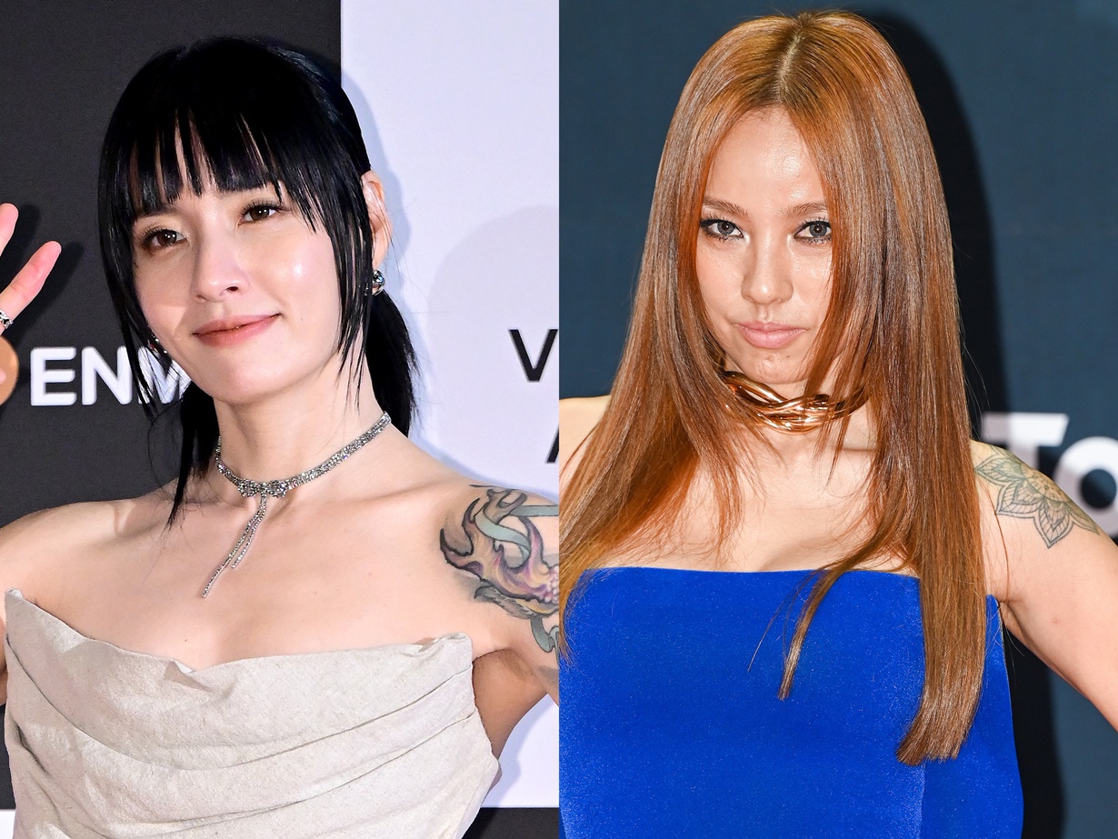 結婚前に「卵子凍結」する者、「人工妊娠しない宣言」も…アラフォー韓国女性スターの“2世”事情