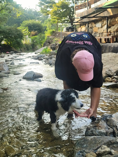 キム・ヒョンジュン