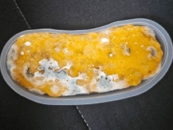 “カビ入りデザート”出して1万円で示談提案…韓国料理研究家タレントに消費者激怒