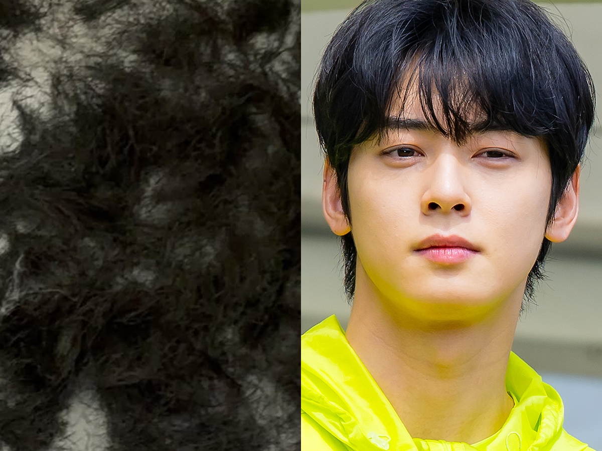 チャウヌが髪バッサリ！王子様のような短髪姿で入隊準備完了　記念ショット公開にファン反応